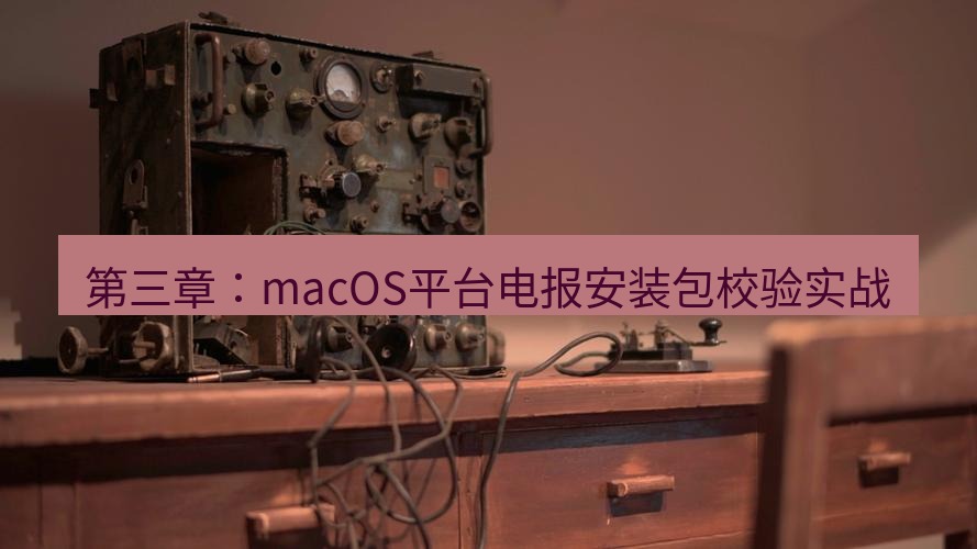 电报下载 第三章：macOS平台电报安装包校验实战