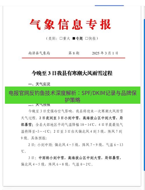电报下载 电报官网反钓鱼技术深度解析：SPF/DKIM记录与品牌保护策略