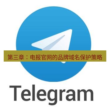 电报下载 第三章：电报官网的品牌域名保护策略