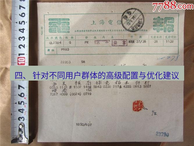 电报下载 四、 针对不同用户群体的高级配置与优化建议