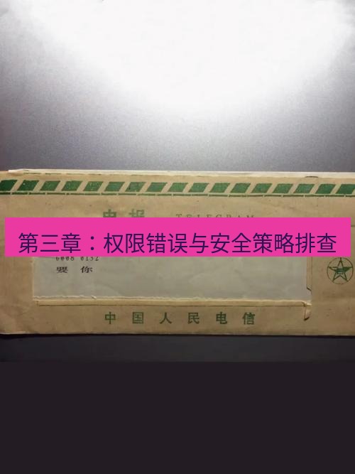 电报下载 第三章：权限错误与安全策略排查