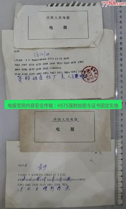 电报下载 电报官网内容安全传输：HSTS强制加密与证书固定实施