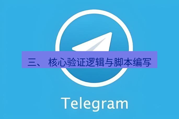 电报下载 三、 核心验证逻辑与脚本编写