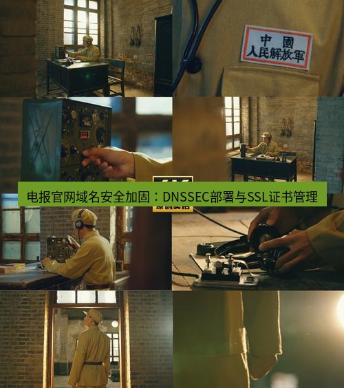 电报下载 电报官网域名安全加固：DNSSEC部署与SSL证书管理