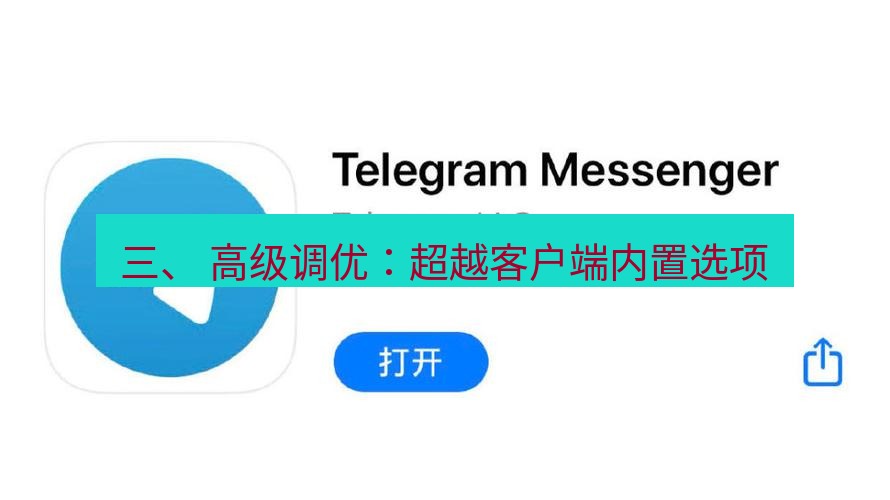 电报下载 三、 高级调优：超越客户端内置选项