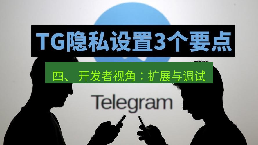 电报下载 四、 开发者视角：扩展与调试